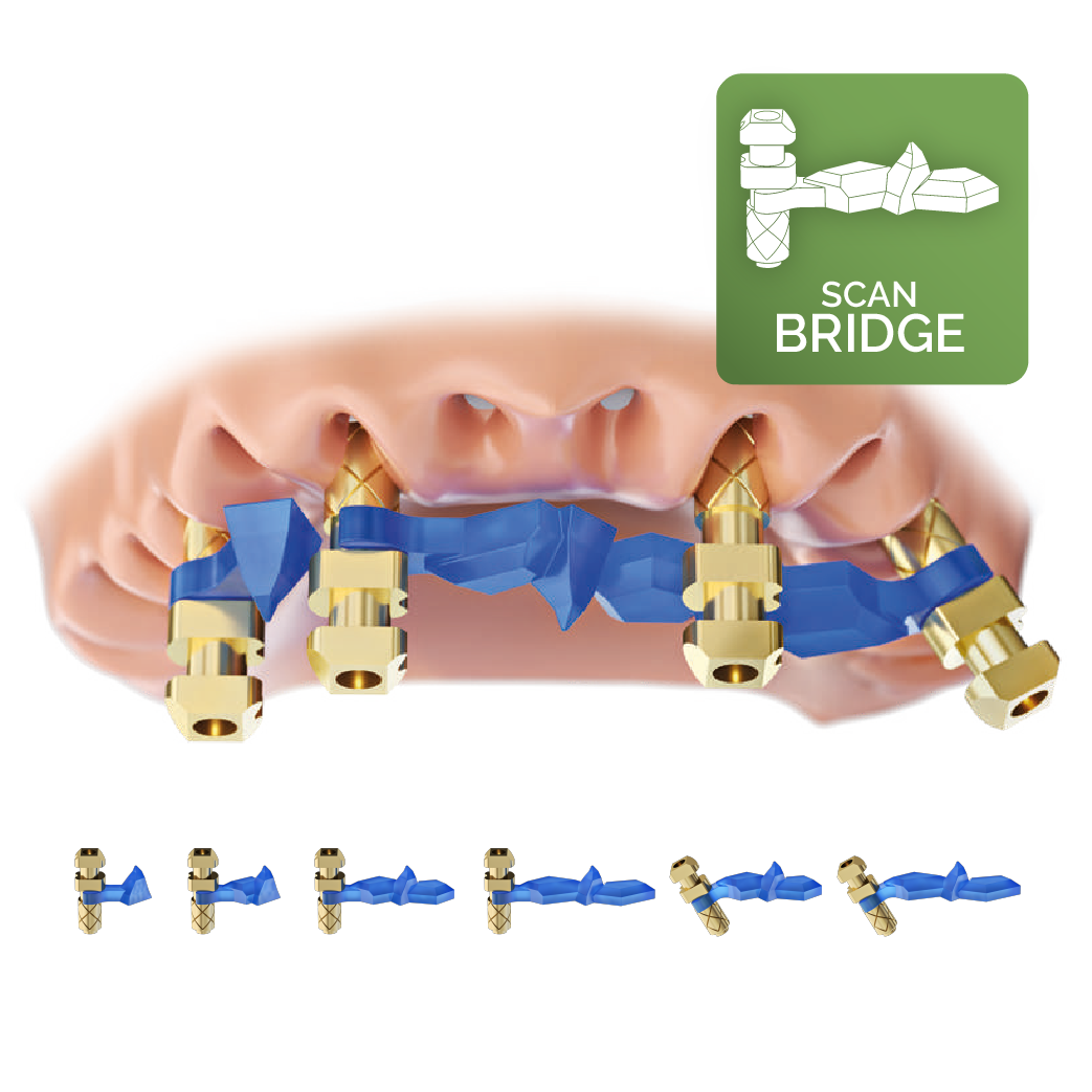 Request ScanBridge Download Files