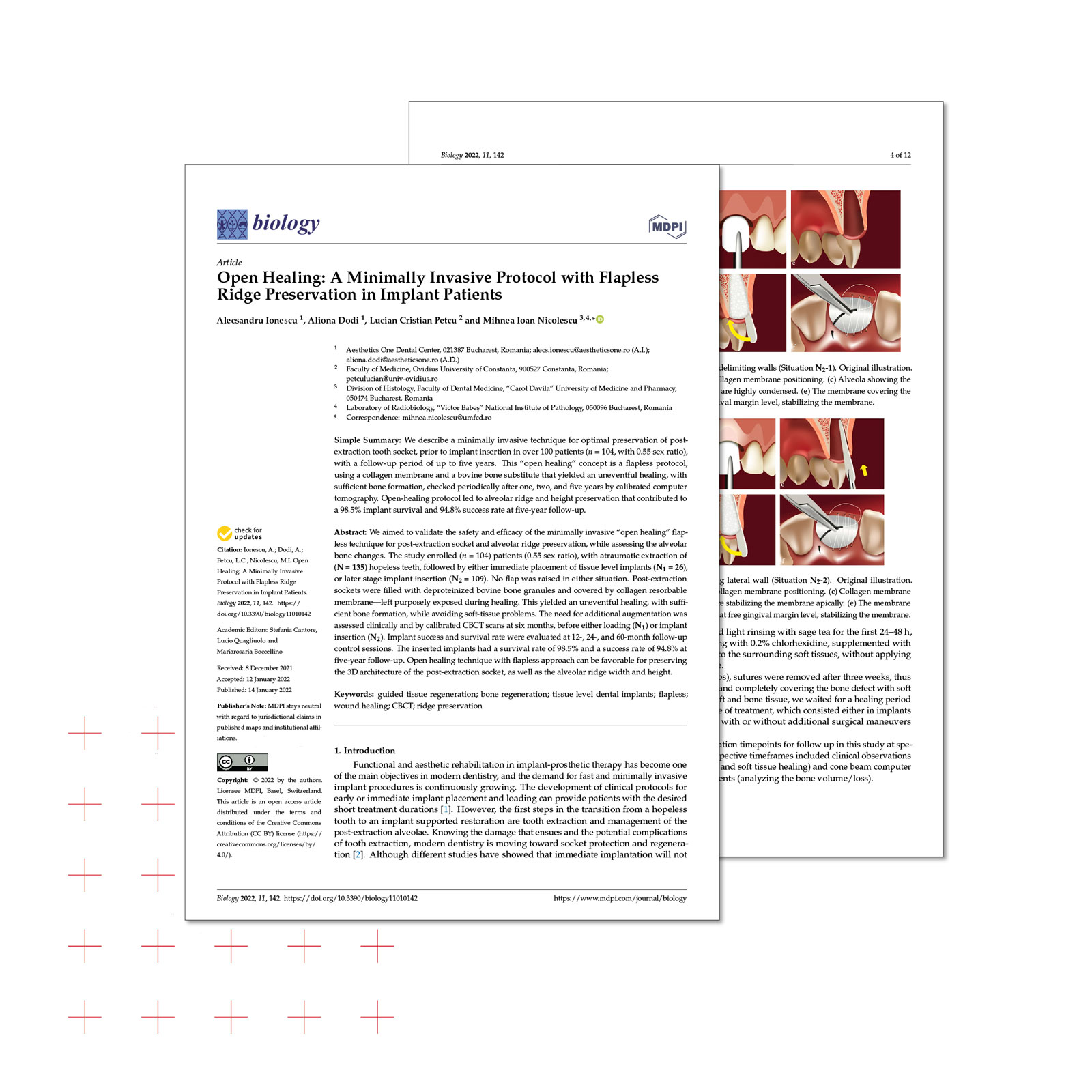 Studio-Ionescu_Ionescu